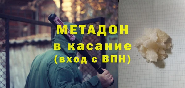 прущие грибы Абаза