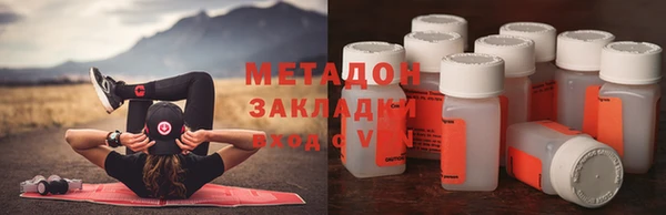 прущие грибы Абаза