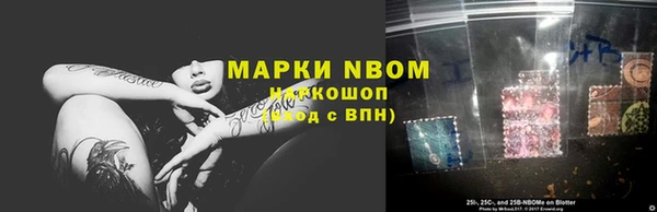 прущие грибы Абаза