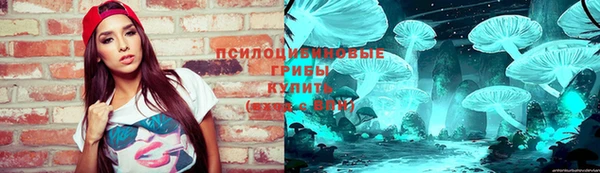 крисы Алзамай