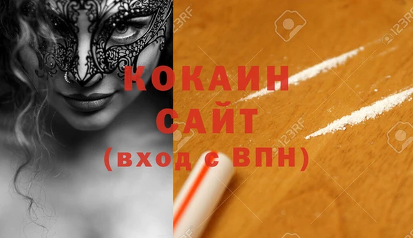 прущие грибы Абаза
