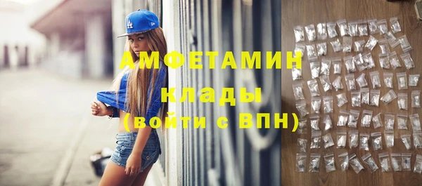прущие грибы Абаза