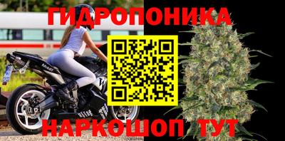Альфа ПВП Краснокаменск