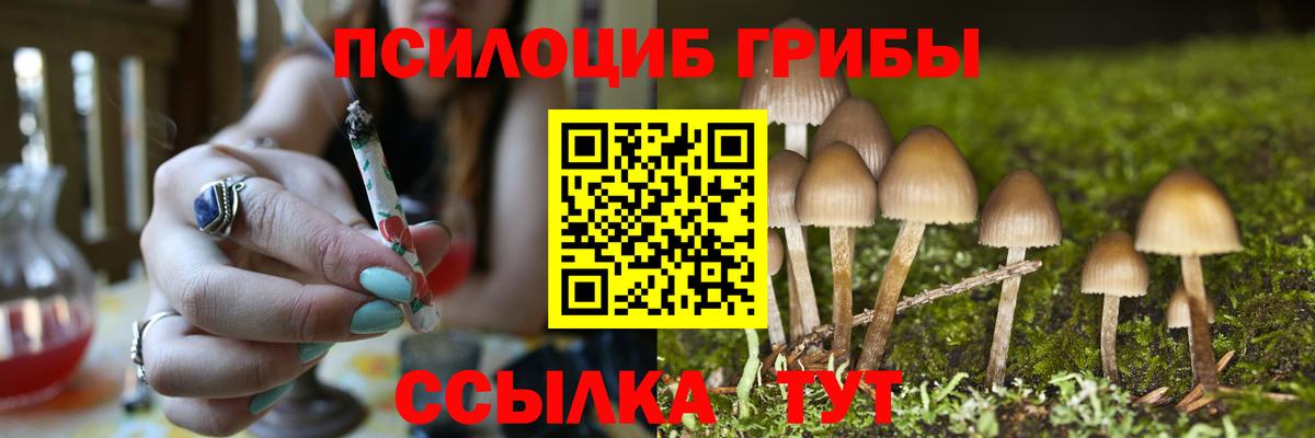 Псилоцибиновые грибы Magic Shrooms Керчь