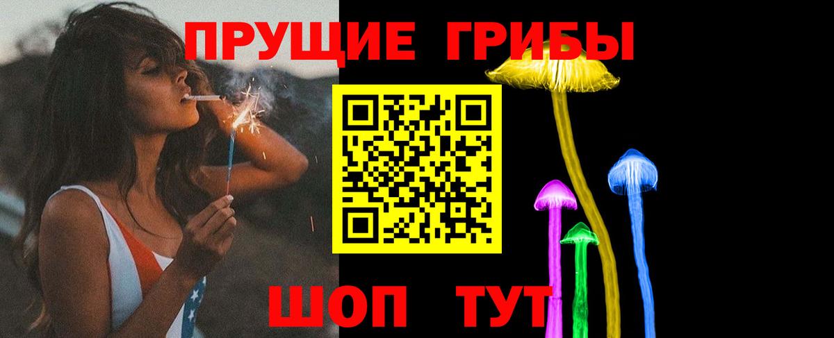 закладки  Вход с VPN  Керчь  Псилоцибиновые грибы GOLDEN TEACHER 